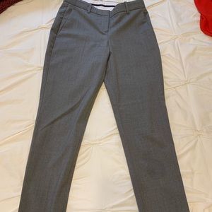 Grey Theory slacks